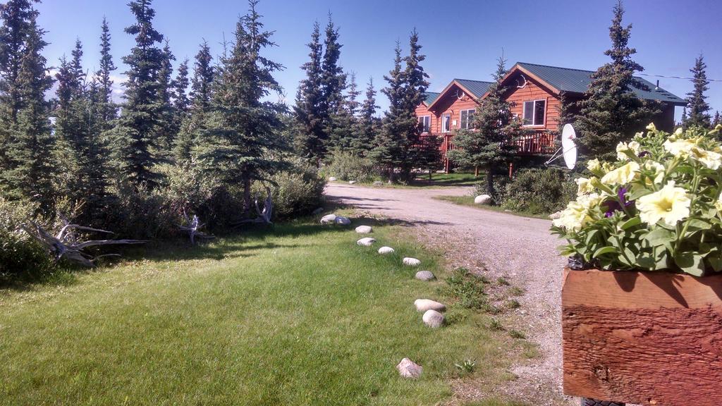 Denali'S Alaskan Spruce Cabins Healy Exterior photo