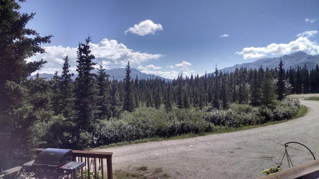 Denali'S Alaskan Spruce Cabins Healy Exterior photo