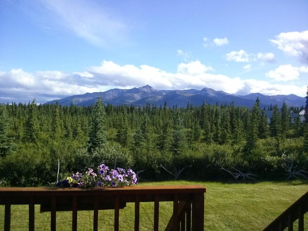 Denali'S Alaskan Spruce Cabins Healy Exterior photo